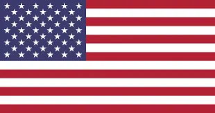 american flag-Savannah
